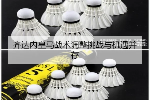齐达内皇马战术调整挑战与机遇并存
